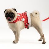 Patipatron Kaçış Önleyici Ayarlanabilir Küçük Irk ve Büyük Irk Köpek Göğüs Tasma Seti ve Gezdirme İpi (Noel, 3XL)