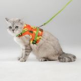 Patipatron Kaçış Önleyici Kedi Gezdirme Tasması Ve Küçük Irk Köpek Gezdirme Tasması (Avokado, L)