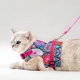 Patipatron Kaçış Önleyici Kedi Gezdirme Tasması Ve Küçük Irk Köpek Gezdirme Tasması (Etnik Pembe, M)