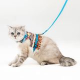 Patipatron Kaçış Önleyici Kedi Gezdirme Tasması Ve Küçük Irk Köpek Gezdirme Tasması (Kilim Desen Mavi, M)