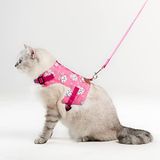 Patipatron Kaçış Önleyici Kedi Gezdirme Tasması Ve Küçük Irk Köpek Gezdirme Tasması (Pembe Kedi Desenli, L)