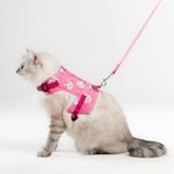 Patipatron Kaçış Önleyici Kedi Gezdirme Tasması Ve Küçük Irk Köpek Gezdirme Tasması (Pembe Kedi Desenli, M)