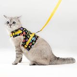Patipatron Kaçış Önleyici Kedi Gezdirme Tasması Ve Küçük Irk Köpek Gezdirme Tasması (Sarı Patili, M)
