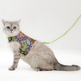Patipatron Kaçış Önleyici Kedi Gezdirme Tasması ve Küçük Irk Köpek Gezdirme Tasması - Yeşil