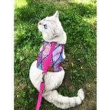 Patipatron Kaçış Önleyici Kedi Gezdirme Tasması ve Küçük Irk Köpek Gezdirme Tasması