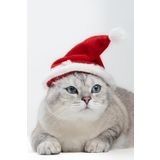 Patipatron Yeni Yıl Kedi Şapkası Lastikli Yılbaşı Şapkası Yetişkin Kedi (Yetişkin)
