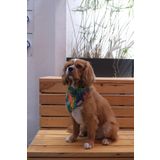 Patiset Hayvan Desenli Köpek Fuları Bandanası Köpek Kıyafeti Yeşil XS