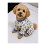 Patişon Ayıcıklı Küçük Irk Kedi-Köpek Tulumu