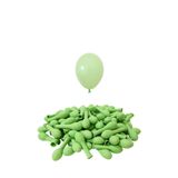 Patladı Gitti 5 Inç Makaron Yeşili Mini Balon 10 Adet