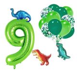 Patladı Gitti 9 Yaş Dinazor Set; Rakam Folyo, 3 Adet Mini Dinazor ve 10 lu Balon