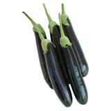 Patlıcan Aydın Siyah Çoklu Tohum - 5 Gram