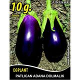 Patlıcan Tohumu Adana Dolmalık - 10 g (~ Takribi 1350 Tohum)