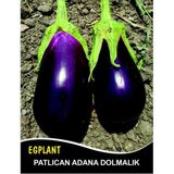 Patlıcan Tohumu Adana Dolmalık - 25 g (~ Takribi 3.250Tohum)