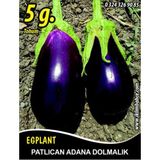 Patlıcan Tohumu Adana Dolmalık - 5 g (~ Takribi 650 Tohum)