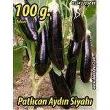 Patlıcan Tohumu Aydın Siyahı 55 - 100 g.