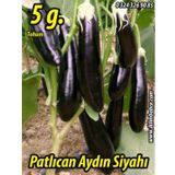 Patlıcan Tohumu Aydın Siyahı 55 - 5 G. (~ Takribi 650 Tohum)