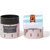 Paul Kenzie Desenli Soket Çorap – Eco Characters – Squirrel - Çok Renkli - 41 - 45