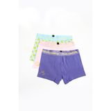 Paul Kenzie | SmileyWorld - 3'lü Erkek Boxer