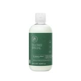 Paul Mitchell Tea Tree Special Canlandırıcı 300 ml Saç Bakım Kremi