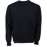 Paul & Shark Erkek Marka Logo Detaylı Regular Fit Uzun Kollu Lacivert Kazak P20P1534-050 - 2XL