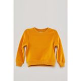 Paulmark Erkek Çocuk Basic Sweat Üst