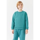 Paulmark Erkek Çocuk Sweatshirt-