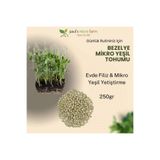 Pauls Micro Farm Bezelye Mikro Yeşil Tohumu – Evde Filiz Yetiştirme – 250 g