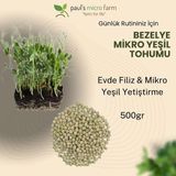 Pauls Micro Farm Bezelye Mikro Yeşil Tohumu – Evde Filiz Yetiştirme – 500 gr