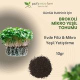 Pauls Micro Farm Brokoli Mikro Yeşil Tohumu – Evde Filiz Yetiştirme – 10gr - 10 gr