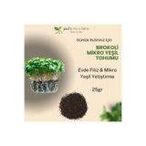 Pauls Micro Farm Brokoli Mikro Yeşil Tohumu – Evde Filiz Yetiştirme – 25 gr