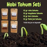 Pauls Micro Farm Hobi Tohum Seti 10GR Roka / 10GR Maydanoz / 10GR Tere / 10GR Fesleğen - 4 Adet