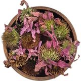 Pauls Micro Farm Kurutulmuş Ekinezya Çiçeği 250gr - 250 gr