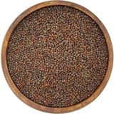 Pauls Micro Farm Mor Lahana Mikro Filiz Tohumu 100 gr | Microgreen - Filizlendirme Tohumu