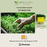Pauls Micro Farm Sulforafan Kaynağı Brokoli Filizi – Bağışıklık & Hücresel Koruma (7 Günlük Taze Hasat) - 200 gr