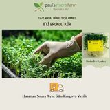 Pauls Micro Farm Sulforafan Kaynağı Brokoli Filizi – Bağışıklık & Hücresel Koruma (8 Günlük Taze Hasat) - 200 gr