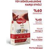 Paunchy Yetişkin Köpek Maması 15 kg Kuzulu İçerik ile Tüy Dökülmelerine Karşı Etkili Formül