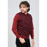 Pave 4537043 Bordo Bisiklet Yaka Desenli Yün Erkek Kazak