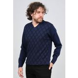 Pave 4539072 Lacivert V Yaka Desenli Yün Erkek Kazak