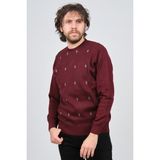Pave 4539093 Bordo Bisiklet Yaka Desenli Yün Erkek Kazak