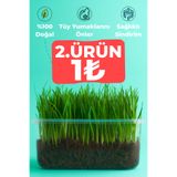 Paw Maw %100 Doğal Kedi Çimi (Tüy Yumağı Önleyici, Sindirim Destekleyici)