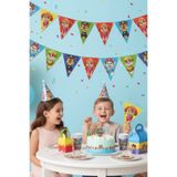 Paw Patrol Üçgen Flama Bayrak Seti 11’li | Doğum Günü Parti Süsleme 3,2 m PRTPN-9971