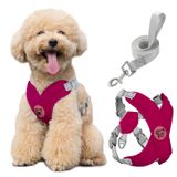 Pawaboo Köpek Koşum Takımı, X-Frame Çekmesiz Evcil Hayvan Koşumu, Ayarlanabilir Boğulma Ücretsiz Köpek Yelek Koşum Küçük Orta Köpekler ve Yavru Köpekler için, Nefes Alabilir Köpek Yelek, Gezinti için