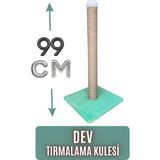 Pawdaz 110 cm Açık Kedi Oyun Tüneli - Hızlı Kurulur ve Kolay Toplanır - Turuncu