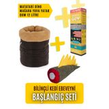 pawdaz Bilinçli Kedi Ebeveyni Başlangıç Seti - Matatabi Dino , Mağara ve Qum bir arada
