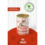 Pawgo Avantaj Serisi | Somonlu | Yetişkin | Parça Etli | Kedi Yaş Mama | 400G