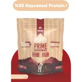 Pawgo Puppy Prime 2 Kg | Kuzu Etli | Yavru Köpek Maması