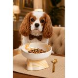 Pawicci 15° Eğik Seramik Marble Brown Kedi Mama Kabı Yükseltilmiş, Kaymaz, Doğal ve Sağlıklı Mama Kasesi