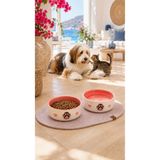 Pawicci 2'li Seramik Kabartma Pati Desenli Mama Kabı – Kedi ve Köpekler için Paspaslı Kaydırmaz Mama ve Su Kasesi - 600 ml