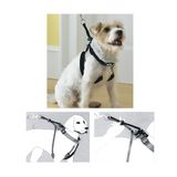 Pawise Dog Training L 1"x23-33" Eğitim Tasması
