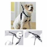 Pawise Dog Training XS 34"x-12" Eğitim Tasması
